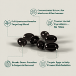 Organic Wormwood Extract